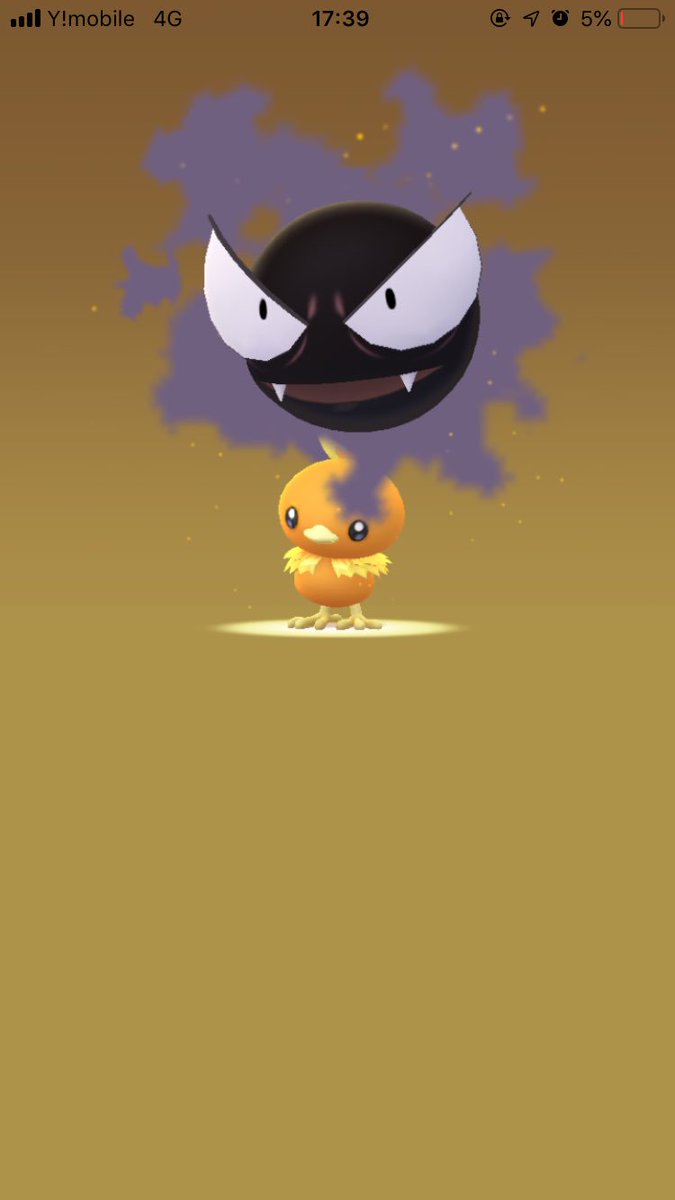 ポケモンgoのバグにより ピチャモ が産まれてしまった コスプレしてるみたい うちはブチャモ Togetter ポケモンgoのバグにより ピチャモ が産まれてしまった コスプレしてるみたい うちはブチャモ Togetter