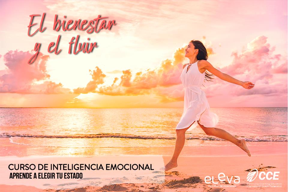 elevacoaching's tweet image. BIENESTAR Y FLUIR: ocupar nuestro lugar, saber que podemos sostenernos a nosotros mismos genera un estado confianza, bienestar y fluir, al que todos tenemos derecho.

CURSO DE INTELIGENCIA EMOCIONAL
Más info: bit.ly/CursoIE2019