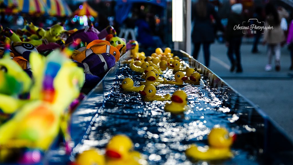 The plushies place their bets on their ducky in this amazing rubber ducky race! #photography #fair