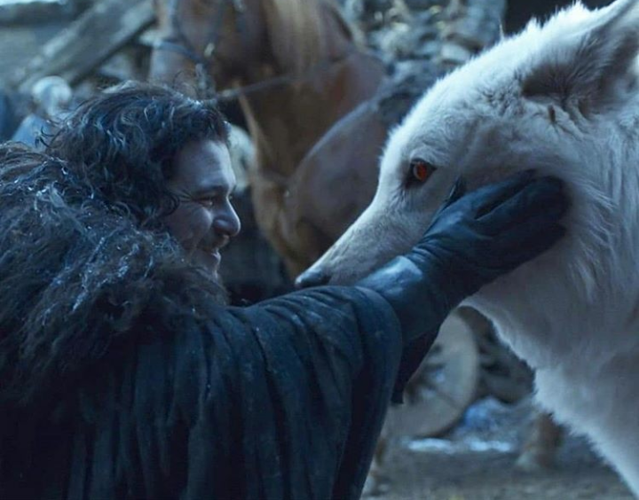 Vicsalash's tweet photo. Porque Ghost se lo merecía.

#TheFinalEpisode 
#GameOfThrones https://t.co/OQWEx63fsF