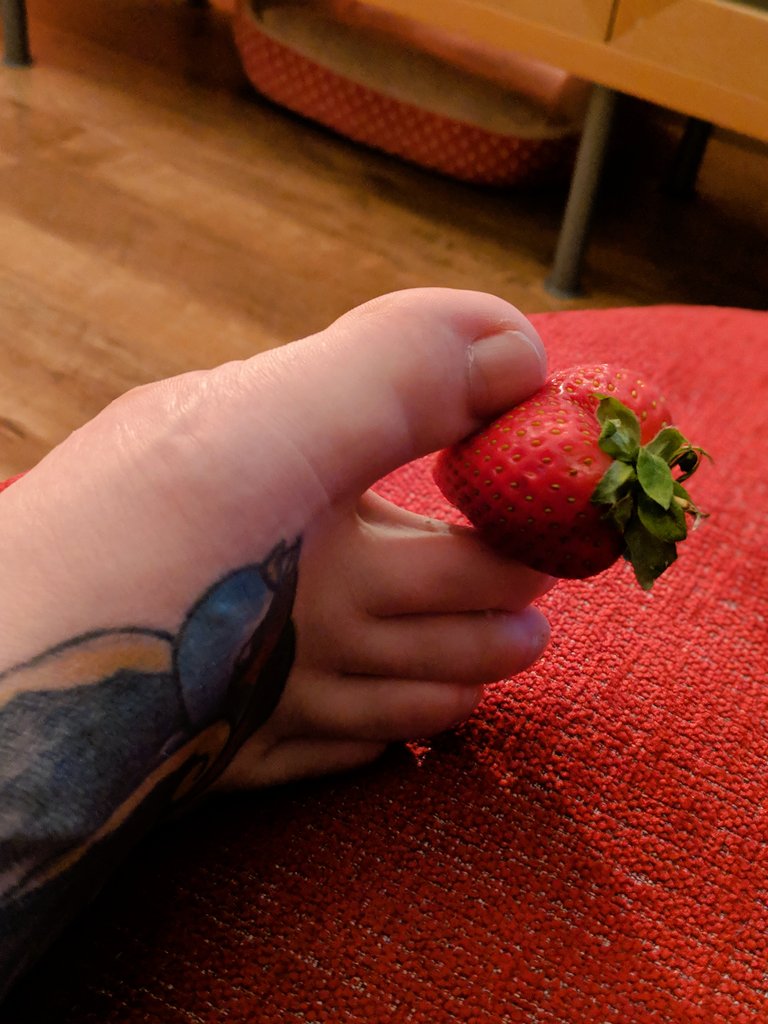 Goddess__Adele's tweet photo. Who wants to eat this strawberry from in-between my toes 👣🤭🍓

#footworship #footslave #footfetishnation #footfetish #femdom #meqe #ubh  #cashmeet #findom #manchesterfindom #cashmeet 

@rt_feet @findom4feet @find0m @ElitePromoFeet @DirkHooper @tonybobo3 @find0m @the_feeture https://t.co/aNNzQ0fGeu