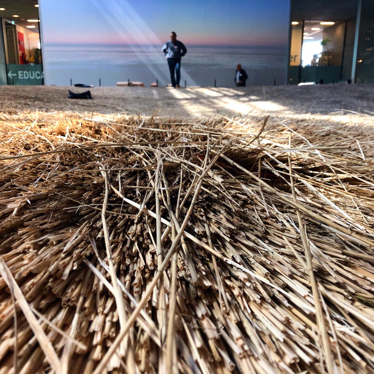 Så er det ved at være sidste chance for at få stråtag mellem fusserne på @DACdotDK’s fine Dorte Mandrup-udstilling i <a href="/BLOX_KBH/">BLOX kbh</a> dac.dk/udstillinger/d… #arkitektur #fagligformidling