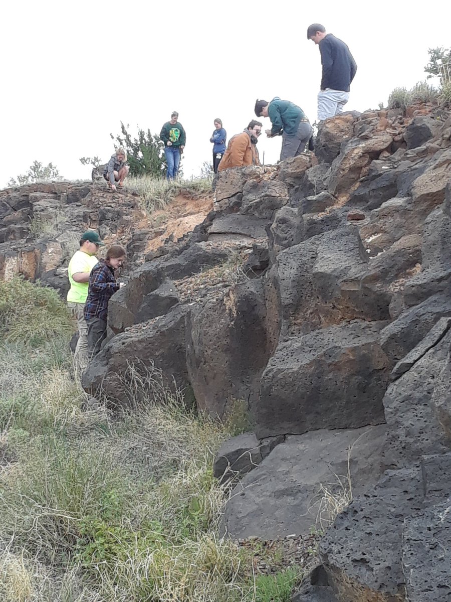 rockswhisperer's tweet photo. Looking for a bathroom stop we found unexpected relief from a lovely young vesicular olivine basalt with a ropy top. #geology @MissouriSandT #FieldworkMonday https://t.co/fN2u0ac2TA