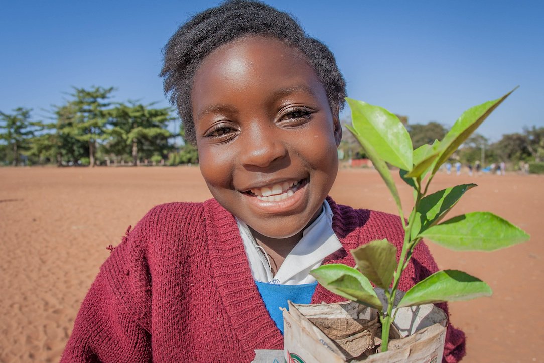 marleen_lammers's tweet photo. Books &amp; trees! If you buy our book through @Greenpop, all proceeds go to their planting projects around Africa! 🌳💚 See here: https://t.co/WEtx0Xc5Or #trees #planttrees #environment #green #ChildrensBooks @papertale @mishateasdale https://t.co/rEXA2eNrIp