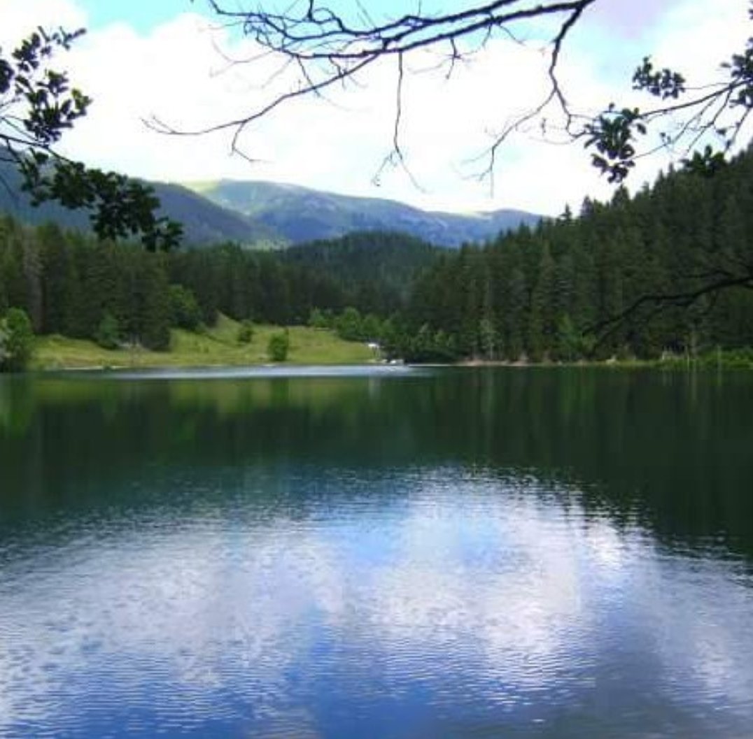 selcukaydin08's tweet photo. #şavşat güzelliği diye birşey var #kda #cittaslow #artvin #pınarlıköyü #meseli
#kültüreldiplomasi #publicdiplomacy https://t.co/v21D9ApsVp