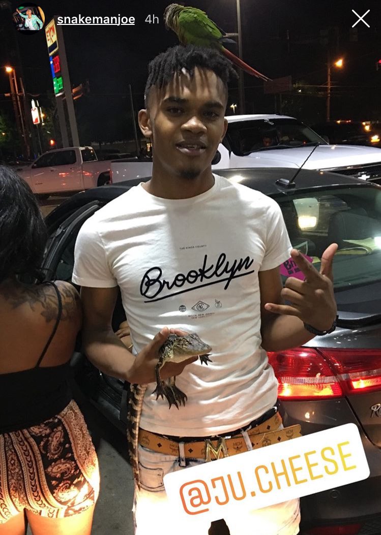 JuX_cheesehttps's tweet photo. What’s life without experiences https://t.co/vZoDxFeHv7