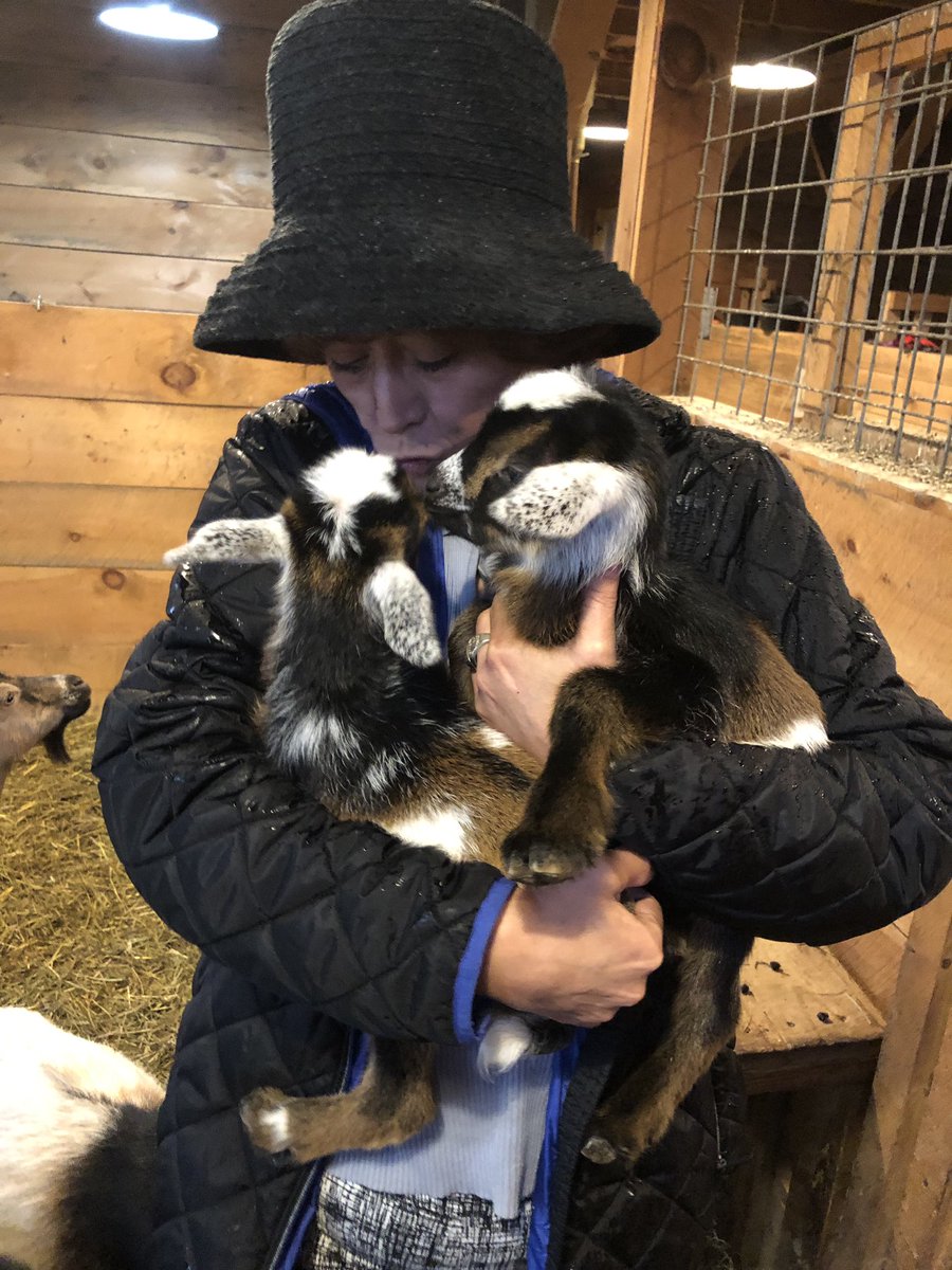 CGoatscaping's tweet photo. My new babies.... Brady and Lilly!  Born the Thursday before Easter..... https://t.co/yLNI1nA14m
