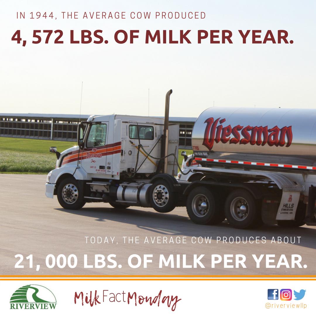 That's almost 5 times as much milk in 74 years!

#milkfactmonday
#dairyhistory
#milkproduction