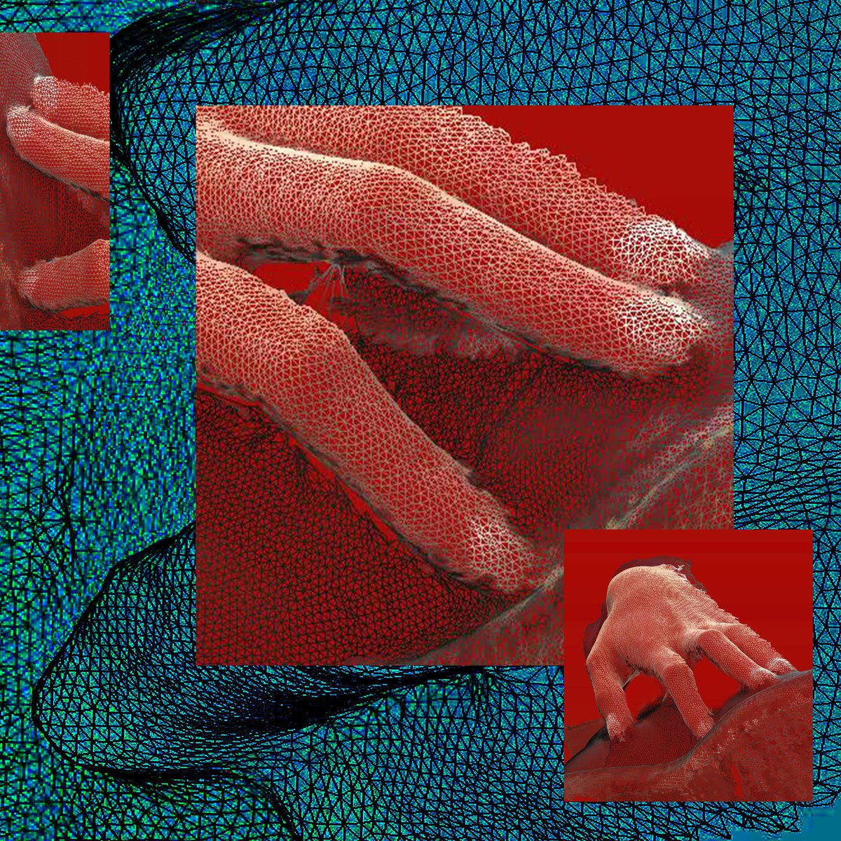 ScandyCo's tweet photo. 3D details ~ Taken in ScandyPro
#ScandyPro #hands #wireframe3d #wireframe #3dscan #details #closeups #intimate #3dart #digitalart #3dphoto #3dscanning #body #art #computerart #photoshop #nails #texture #boots #acrylicnails #collage #touch #iphoneart https://t.co/WI8ytrWNbq