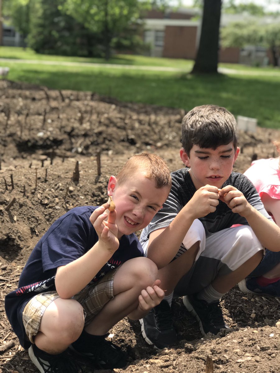 MissRyan110's tweet photo. Today we planted onions and potatoes in our Victory Garden! #MedfieldPS #Wheelockians https://t.co/nadnSmc2Zk