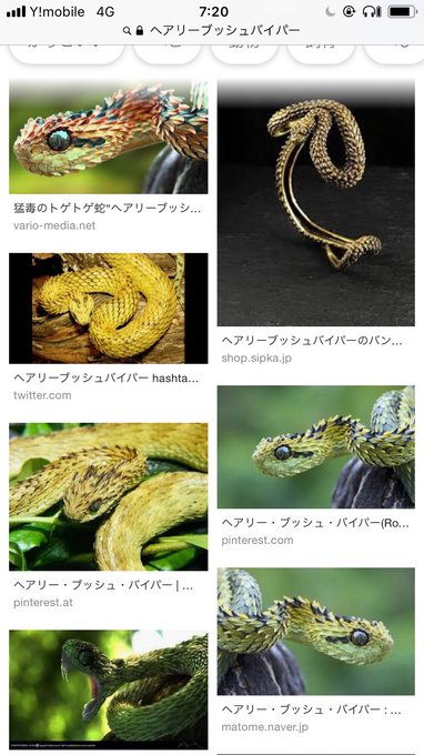 みやむさん の最近のツイート 1 Whotwi グラフィカルtwitter分析 みやむさん の最近のツイート 1 Whotwi グラフィカルtwitter分析