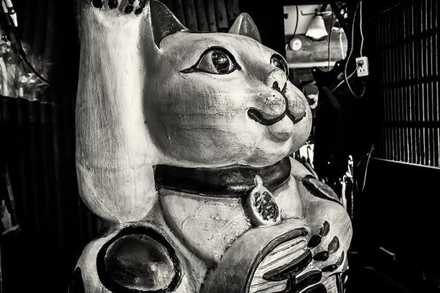 hurry69's tweet photo. ねこ

#x100f #fujifilmx100f #fujifilm_xseries #streetshot #streetsnappers #streetphotography #streetsnap #streetphotography_bw #streetphoto_bw #snapshot #snap_bw #snap
#monochrome #monochromephotography #bnw_photo #bnw_shot #Inst0agramjapan #bnw #iger_… https://t.co/KiBXPifoBR https://t.co/xlayaeDvcA