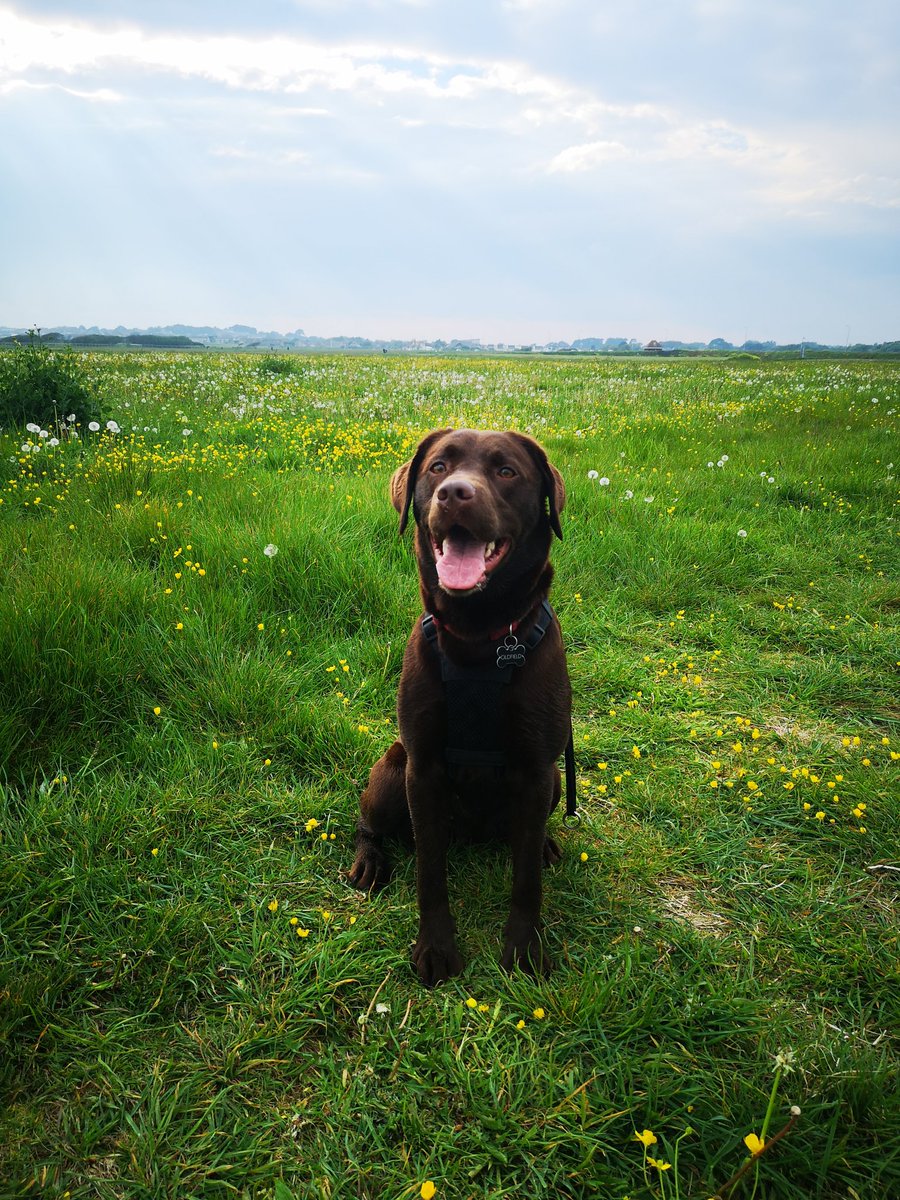 Had this one supporting me on my first attempt at #Couchto5K so far so good.