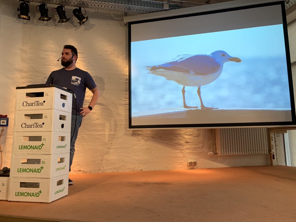 dennisausbremen's tweet photo. „Diese Möwe ist eine sehr fiese Möwe…[sic!]“ — @niklasbarning
 #wmhb #trollMöwe https://t.co/5YQaxl0AOj