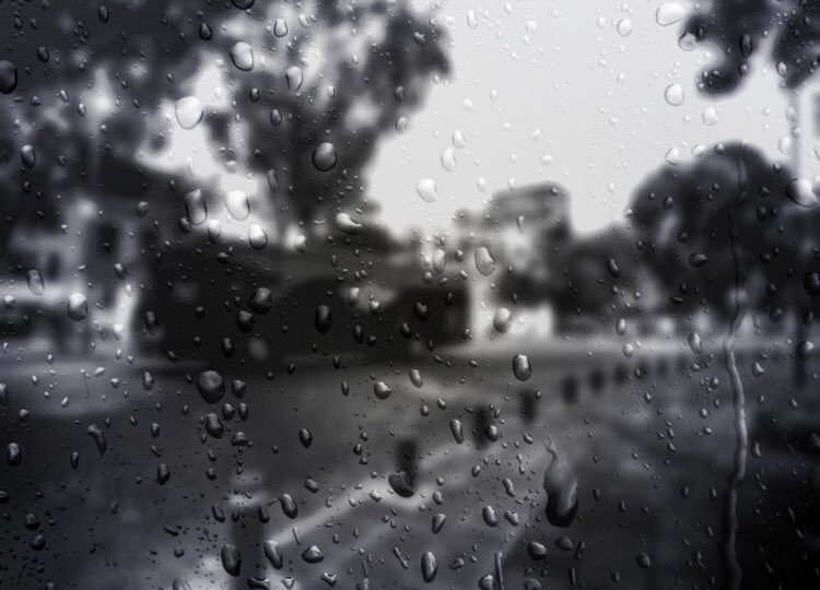 Empirebusmx's tweet photo. Cualquier que diga que la felicidad es el Sol, nunca ha bailado bajo la lluvia...... ☔️🚎 

Que la época de lluvias no te detenga y vive la experiencia Empire Bus 
Contactanos: 📞 55 8687 3109
contacto@empirebusmx.com
#NoSomosCualquierPartyEnUnBus https://t.co/iOeFw8dQQR