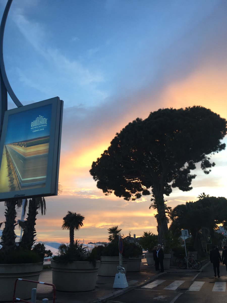 Fifi Congiusti tweet media