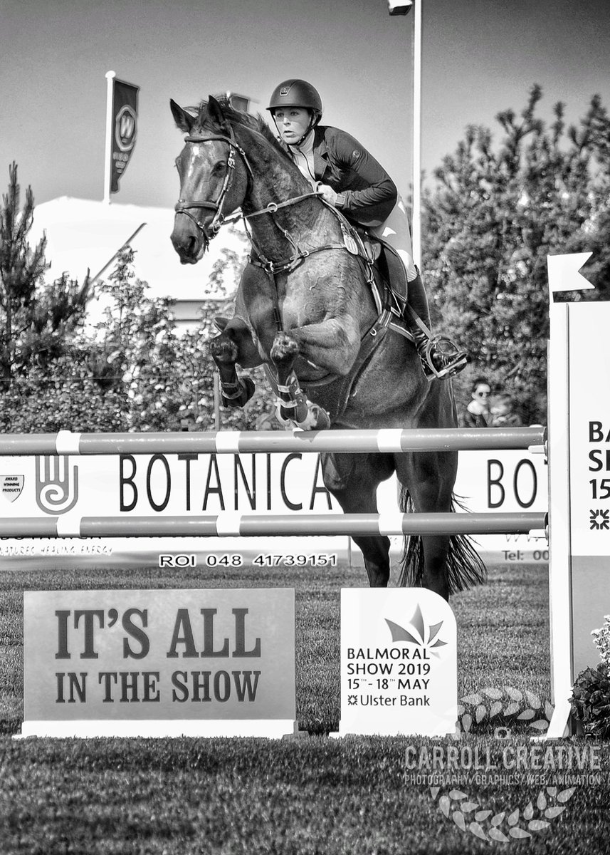 CarrollCreate's tweet photo. @DengieHorseFeed 6&amp;7 year old championship at @balmoralshow 2019.

#showjumping #eventing #equestrianphotography #equestrianphotograher #BalmoralShow19 #BalmoralShow #dengie #horsephotographer #horseriding #blackandwhitephotography #NorthernIreland https://t.co/Mr1SwORdxO