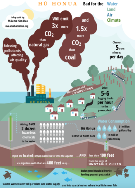 stand4forests's tweet image. Aloha! Great news from the folks at Mālama Hāmākua &amp;amp; Life of the Land in Hawaii, they recently received news that they had STOPPED the opening of the Hū Honua #Biomass facility with the help of showing @BURNEDTheMovie What incredible news! #StopTheChop🌴ow.ly/NqqM50ufngX