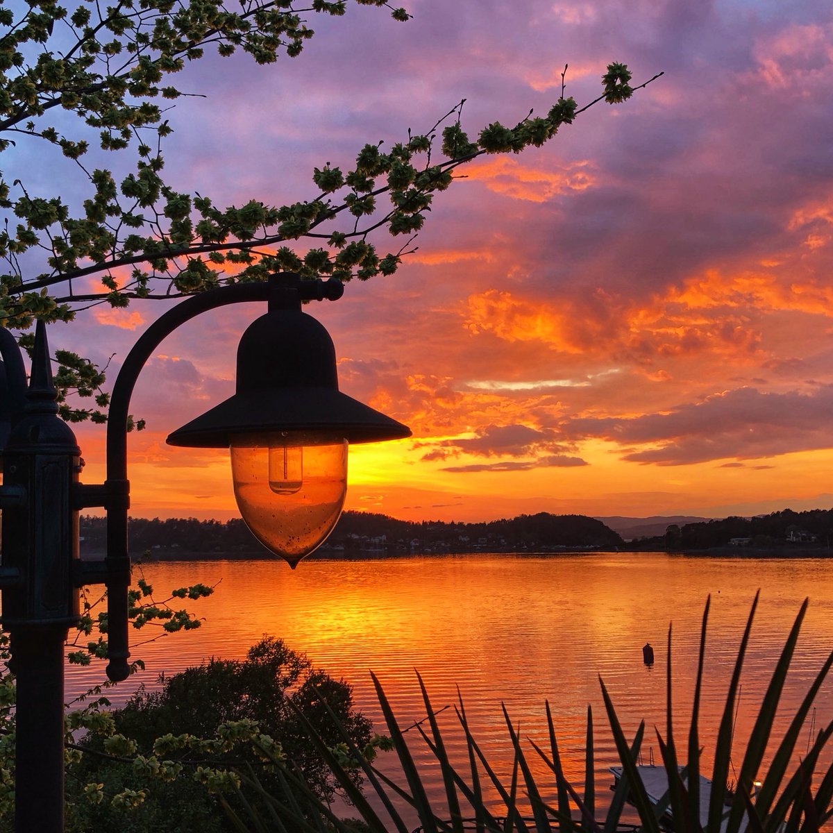 Nordic Ann 👑 tweet media