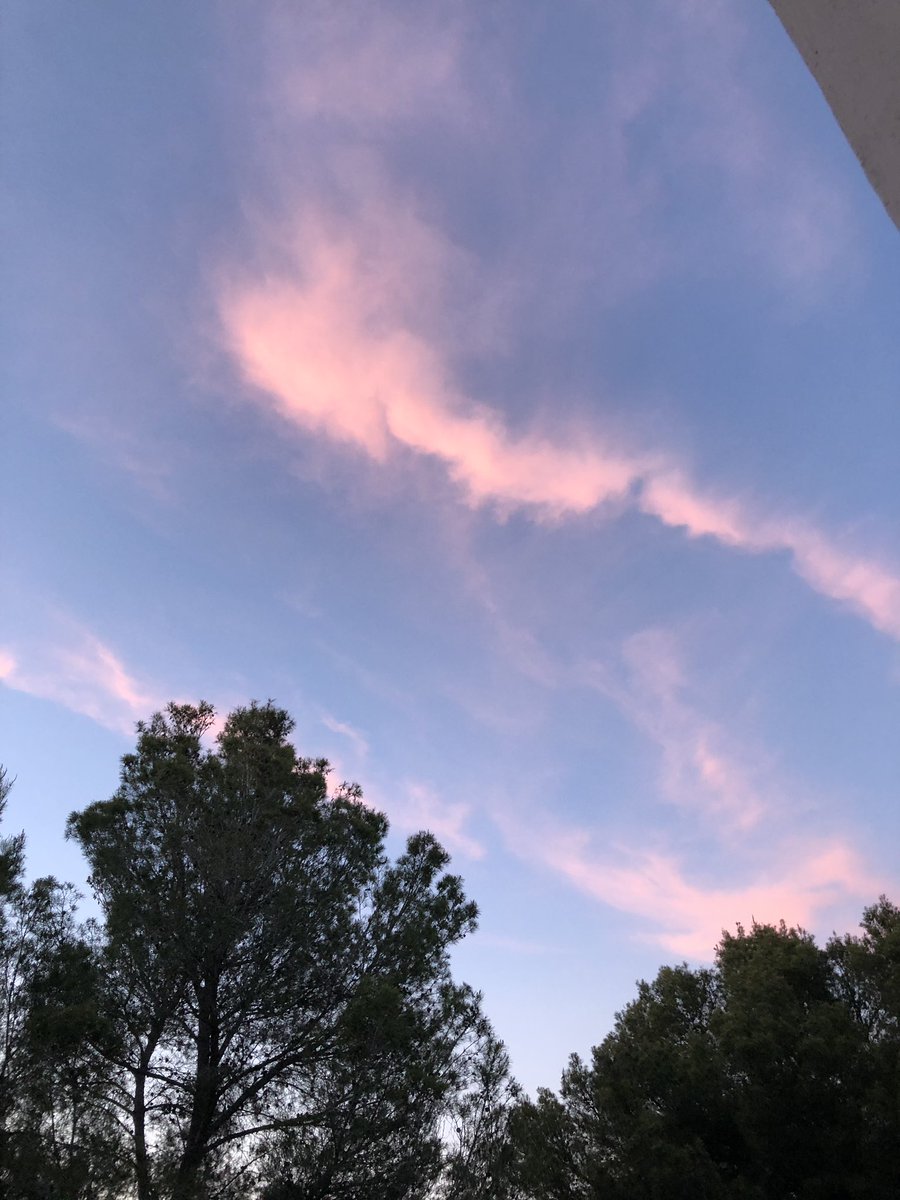 lorebiebs__'s tweet photo. Casi se me cae el móvil al suelo (hay bastantes metros) por hacerle fotos al cielo 😂

Qué tonta soy de verdad https://t.co/ywCylV37Nl