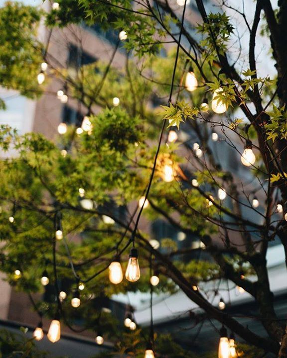Visit our hidden urban oasis found in the courtyard of the hotel’s fourth floor. | #rwhotelgeorgia bit.ly/2WUc3RH