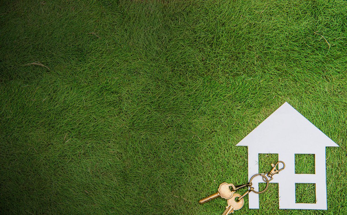 Simms Development tweet media