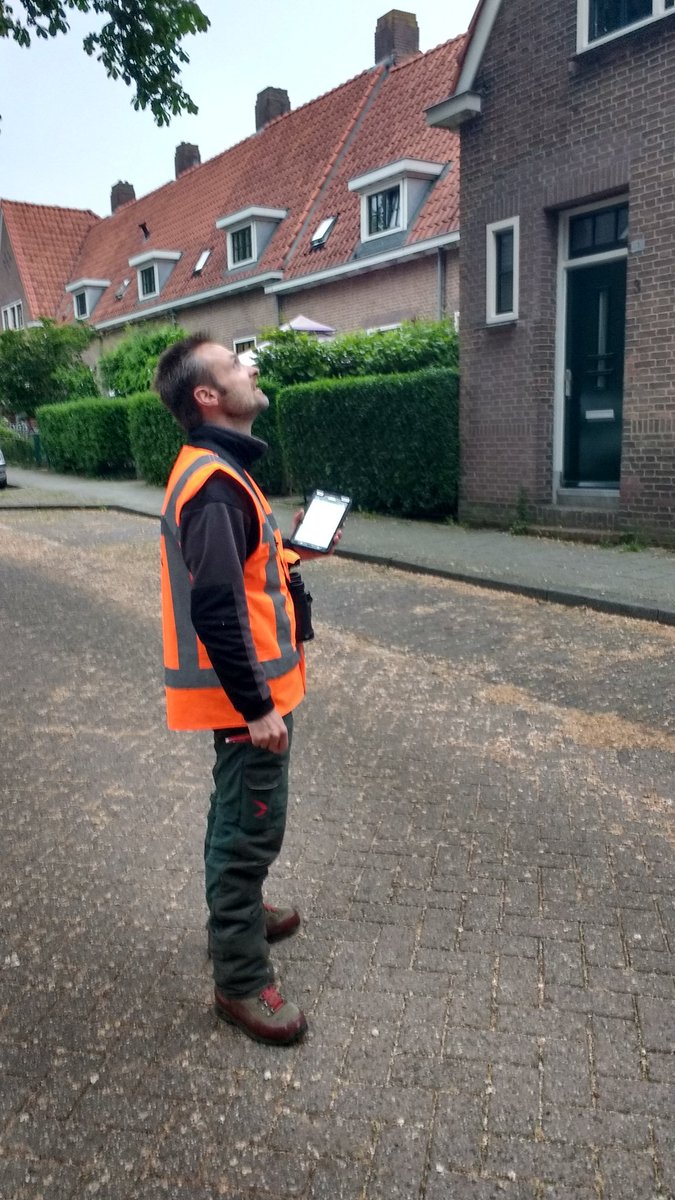 Wij zijn op dit moment druk bezig met de voorjaars nader onderzoeken door heel Nederland. Hierbij ligt het zwaartepunt vooral op vleermuizen, gierzwaluwen en huismussen.