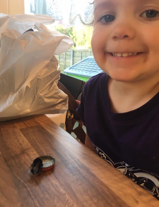 My little one giving another little one a sugary drink before it went on it’s way #WorldBeeDay #bees #pollinators