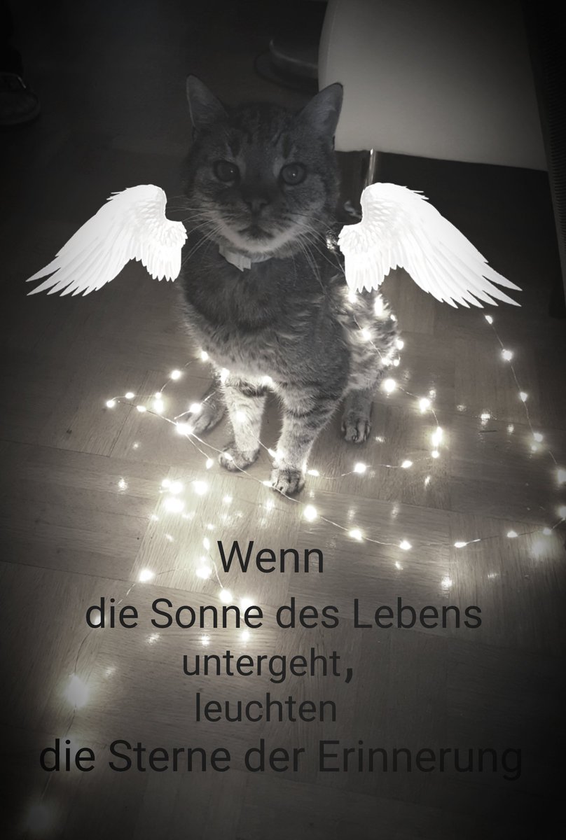 Schneewittchen tweet media
