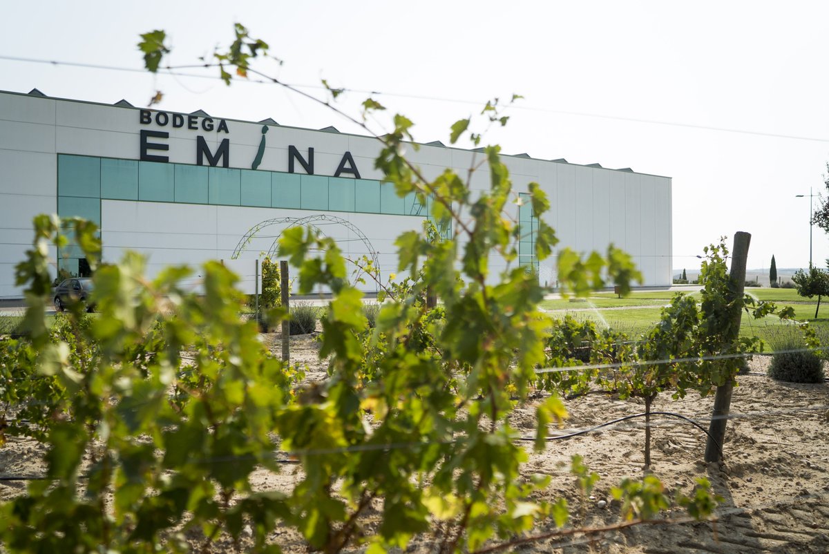 Descubre nuetros vinos blancos de Rueda. Nuestra bodega te espera con las puertas abiertas. ow.ly/ZbYY50ujGr0