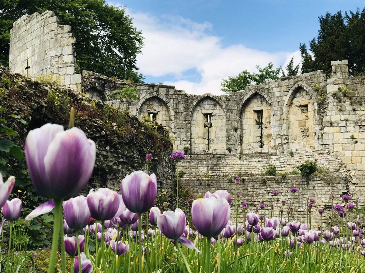 sharpstickfilms's tweet photo. #York’s #MultangularTower, in #MuseumGardens. A remnant of the original #Roman #Walls. https://t.co/Eo0DKCFGwX