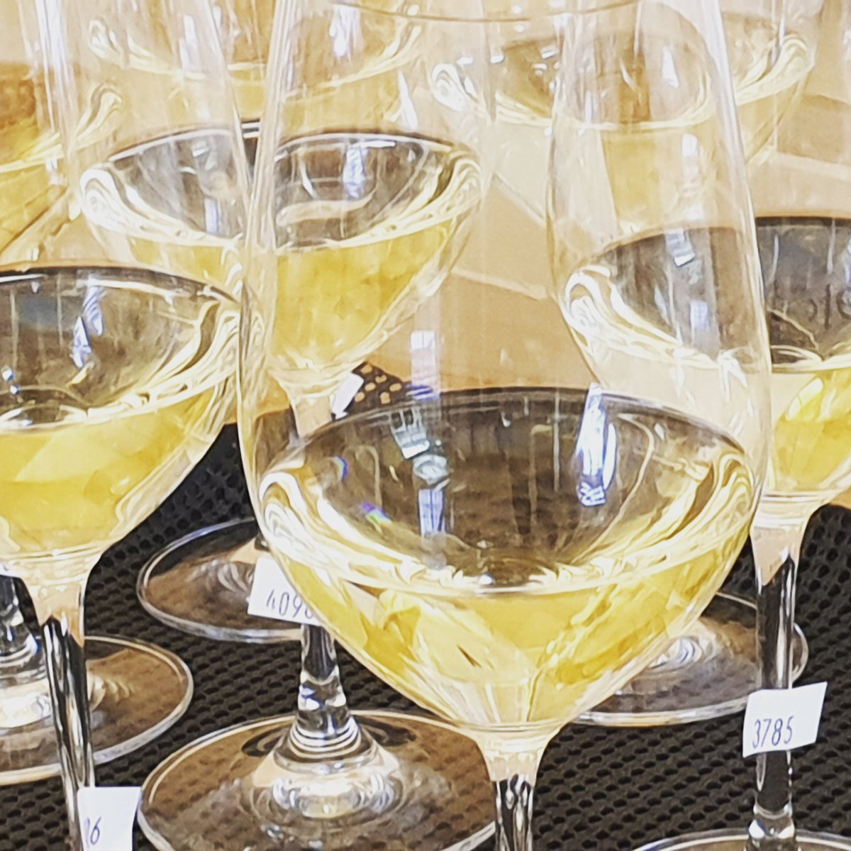 Preparing for tomorrows masterclass <a href="/theIWSC/">IWSC - International Wine & Spirit Competition</a> stand @londonwinefair 1:30pm. One of my fav topics #proseccosuperiore. Celebrating 50yrs. Tasting some gold medal wines! <a href="/ProseccoCV/">Prosecco Superiore</a>
