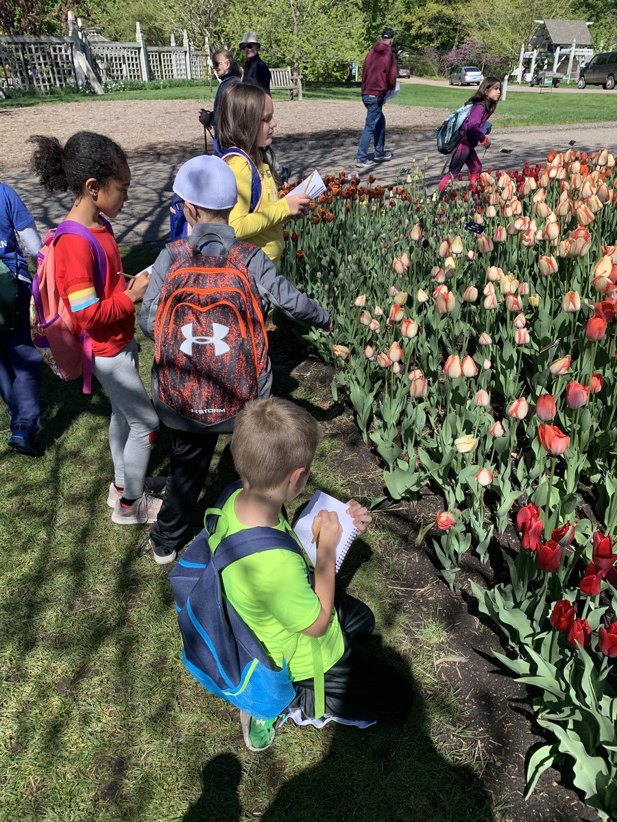 MissGrundstrom's tweet photo. We could have explored these beautiful tulips for hours today at the Arboretum! It was hard picking just one favorite to do our scientific drawing of. @meagher3dan https://t.co/5tOm1R97J5