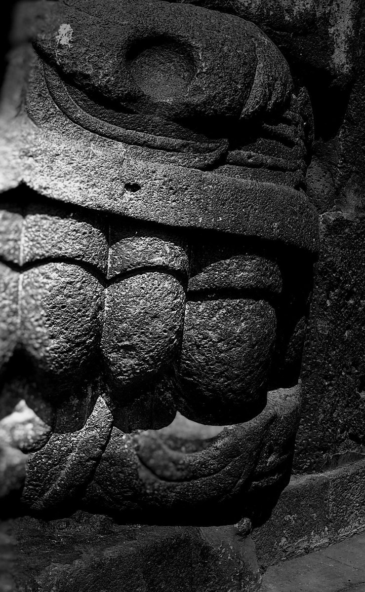 el_ruinero's tweet photo. #Cabeza de #Serpiente_Emplumada #MuseodelaCiudaddeMéxico
#CDMXSe trata de una #célebre “#PiezaSuelta” o #pieza de #manufactura #prehispánica #reutilizadas de los #restos de la #antigua #Urbe #Ceremonial de #Tenochtitlán. Esta pieza fue #documentada el #sXIX. https://t.co/oAvqwrGTzR