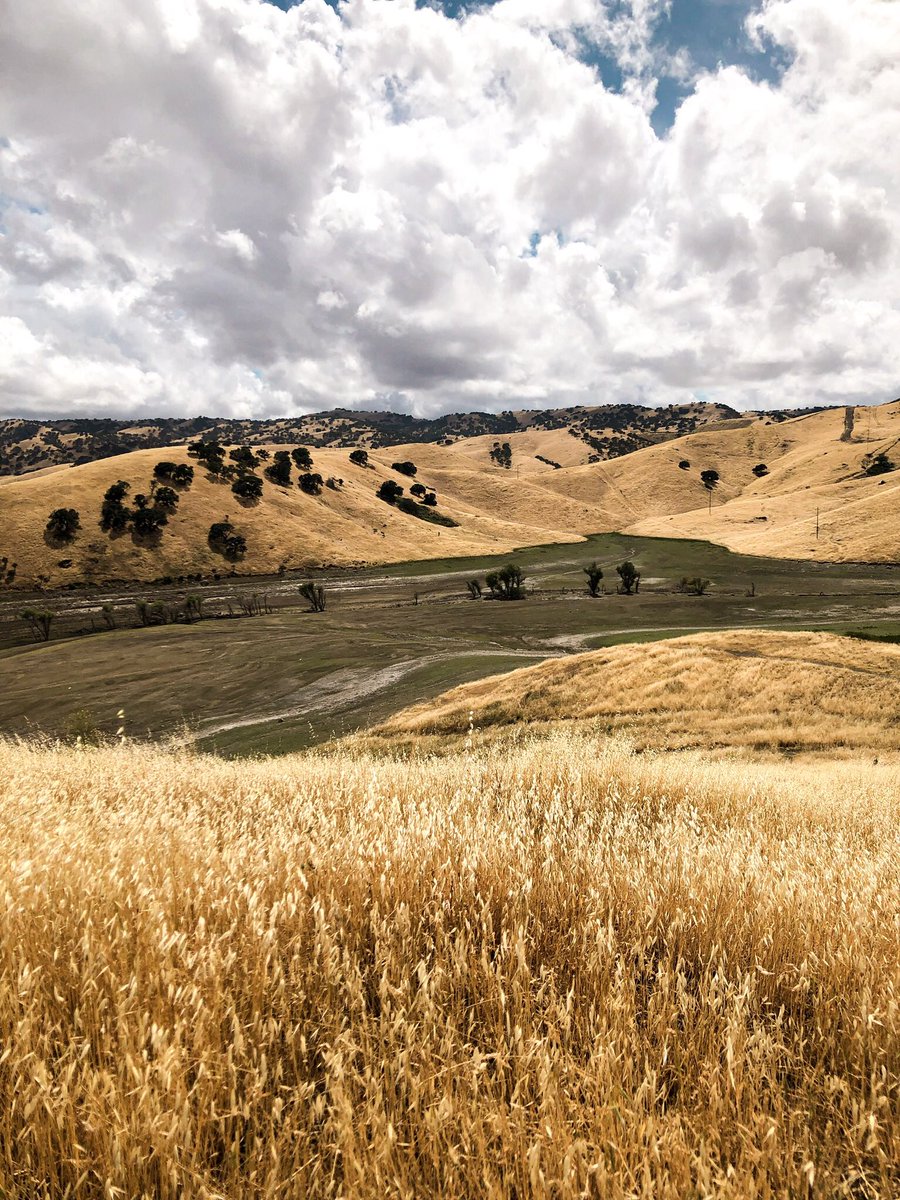 [crate] (cratecratecrate) Twitter