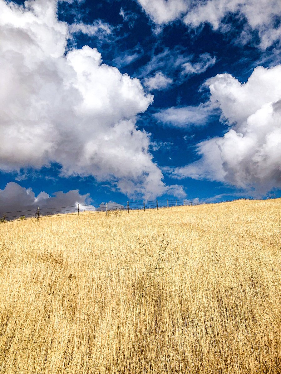 [crate] (cratecratecrate) Twitter