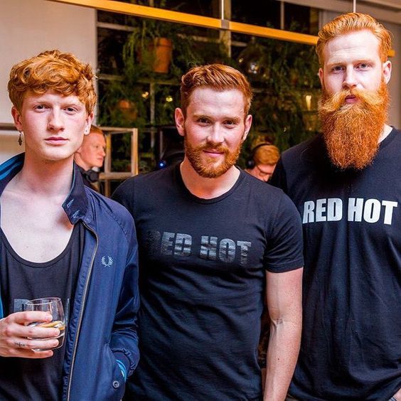GingerBredLove's tweet photo. All 3 are #REDHOT, but which of them gets your vote?

First, we have number1⃣, the #beardless babyface on the left.

Next,2⃣, the moderately-#bebearded one in the centre,

&amp; finally,3⃣, the positively #pogonotrophic one on the right.

Choose &amp; cast your vote in the poll below⬇️ https://t.co/4gqTJKZnpY