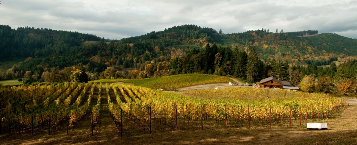 CrushOnOregon's tweet photo. Tickets are selling fast! Be sure to save your spot to sip on some fine wine from Oregon wineries, including wine from @cdtvineyard at #CrushonOregon on June 2: https://t.co/JPwx7ui1Xc

#winetasting #oregonwine #portland #pdxevents https://t.co/PJFI64M7Nr