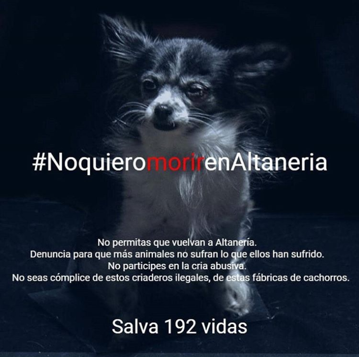 AnnovaDA's tweet photo. #FirstDates900 #NoquieromorirenAltaneria
Campaña para salvar a los perros de una fábrica de cachorros en Madrid
https://t.co/Sc93ZKXS3n
#putabirdonit #putabowonit #putaA #putASmileOnMyFace #putavidatete #putaquepariu #putabarca #putak #putaendo #PutAShirtOn #PutaSevilla https://t.co/Rz10gxXoku
