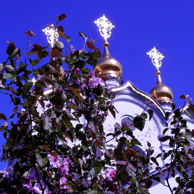 4 мая православный. Храм Сергия Веледниково. Картинки 10 мая православный.