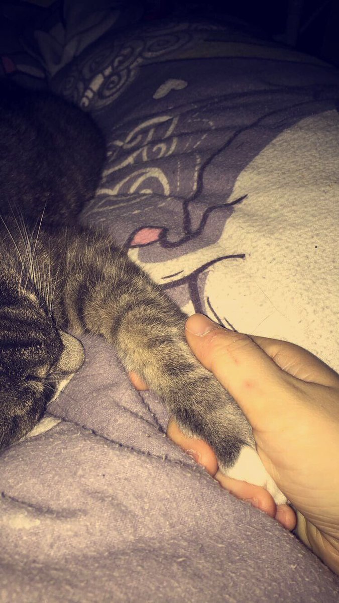 FinnLucaFTM's tweet photo. Wahre Liebe🤞✨🥵❤️ https://t.co/0RCVMX7eBQ