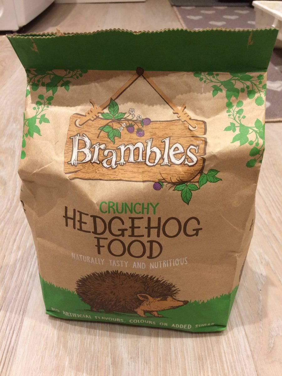 Trying out some new hedgehog food. Fingers crossed 🦔🦔🦔@hedgehogsociety @Help4Hedgehogs @HelpaHedgehog