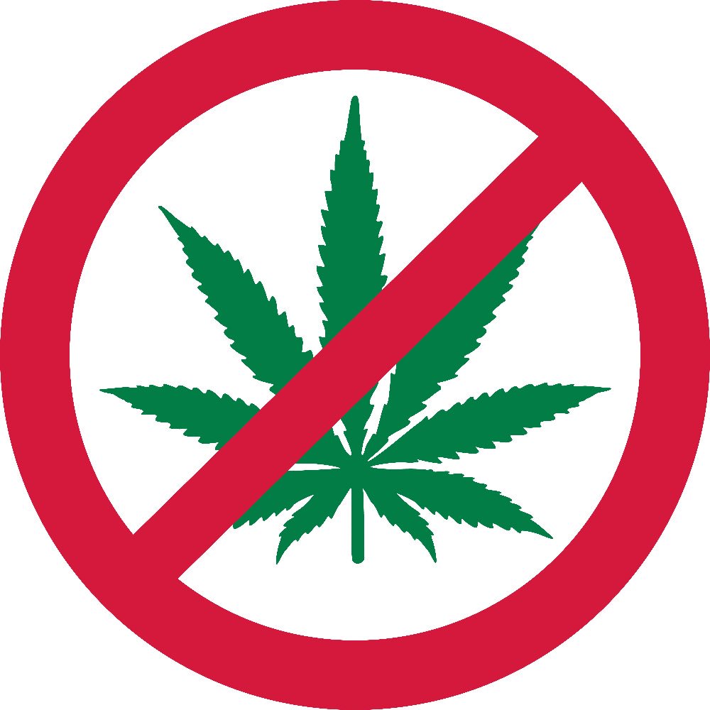 THEREALGO0SE's tweet photo. The Goose does not and cannot smoke marijuana. Marijuana is relatively harmless for most adults, but is *definitely* not okay for Geese. 

The Goose, however, does smoke HELLA grass, my dudes https://t.co/HbxMmg5HGO