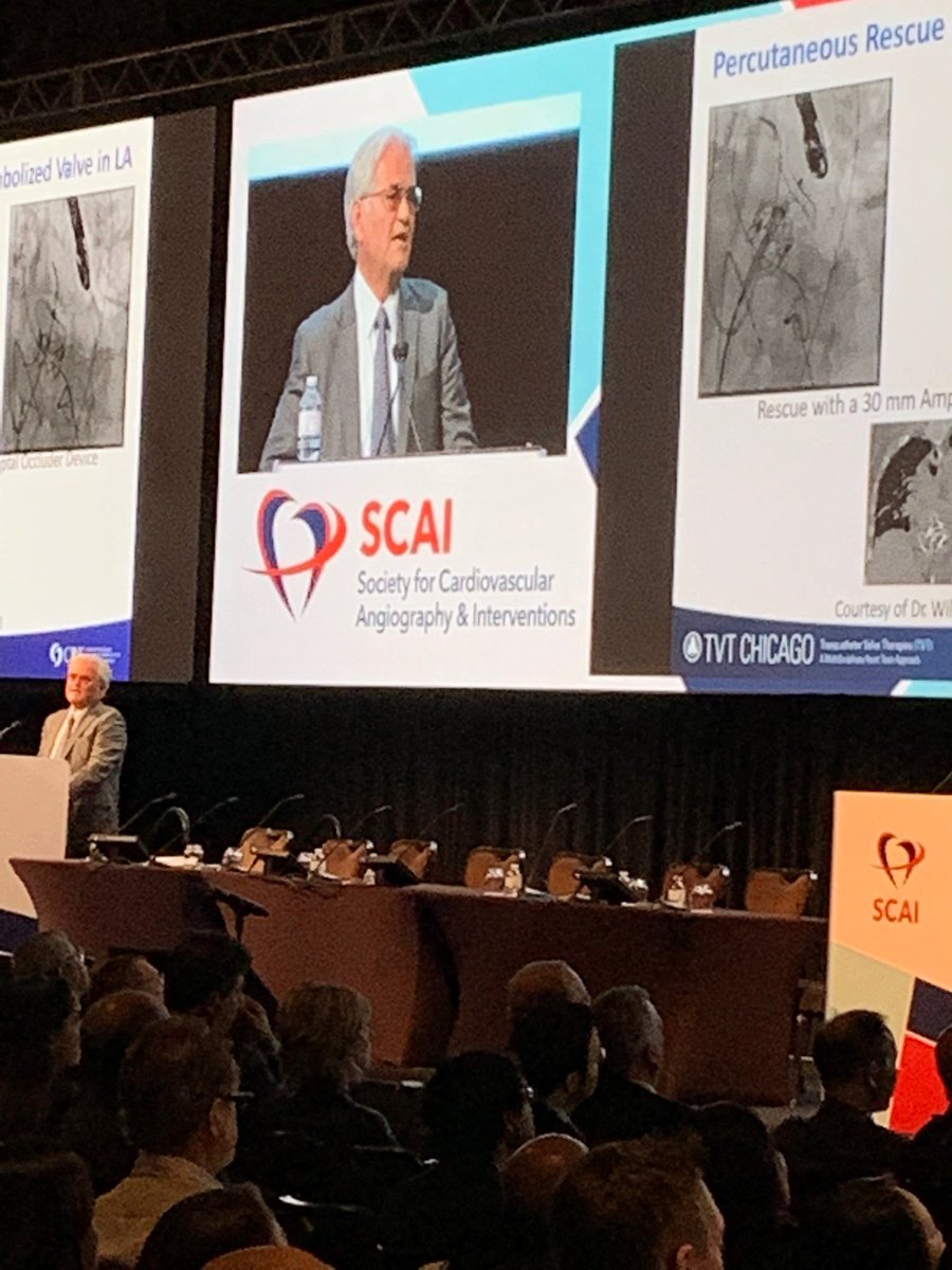Bill O’Neill giving the Hildner lecture at SCAI 2019