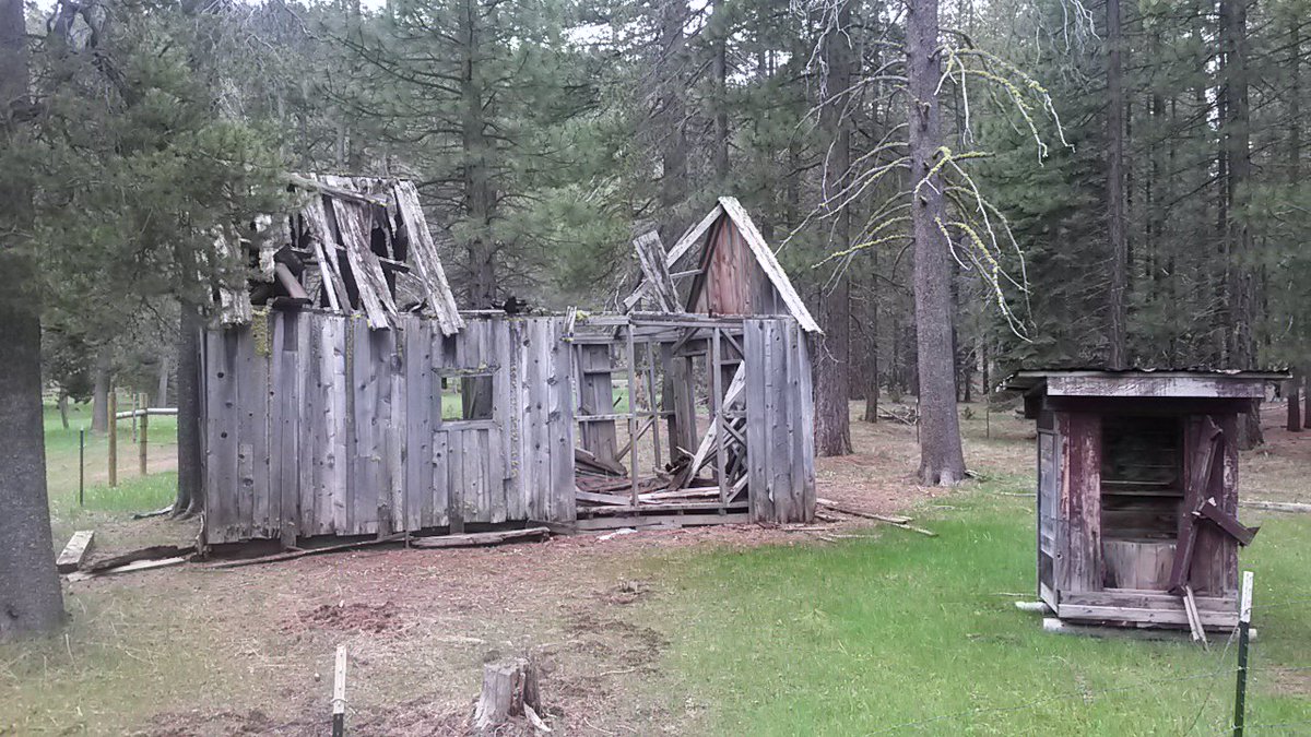 UNVPress's tweet photo. There’s so much to explore in the Sierra Nevada!

Plus, you can learn more about Basque sheepherders in Iker Saitua’s book “Basque Immigrants and Nevada's Sheep Industry.”  

@Isaitua #Basque #BasqueHistory #PlumasNationalForest #History https://t.co/R7jR1q2hoO