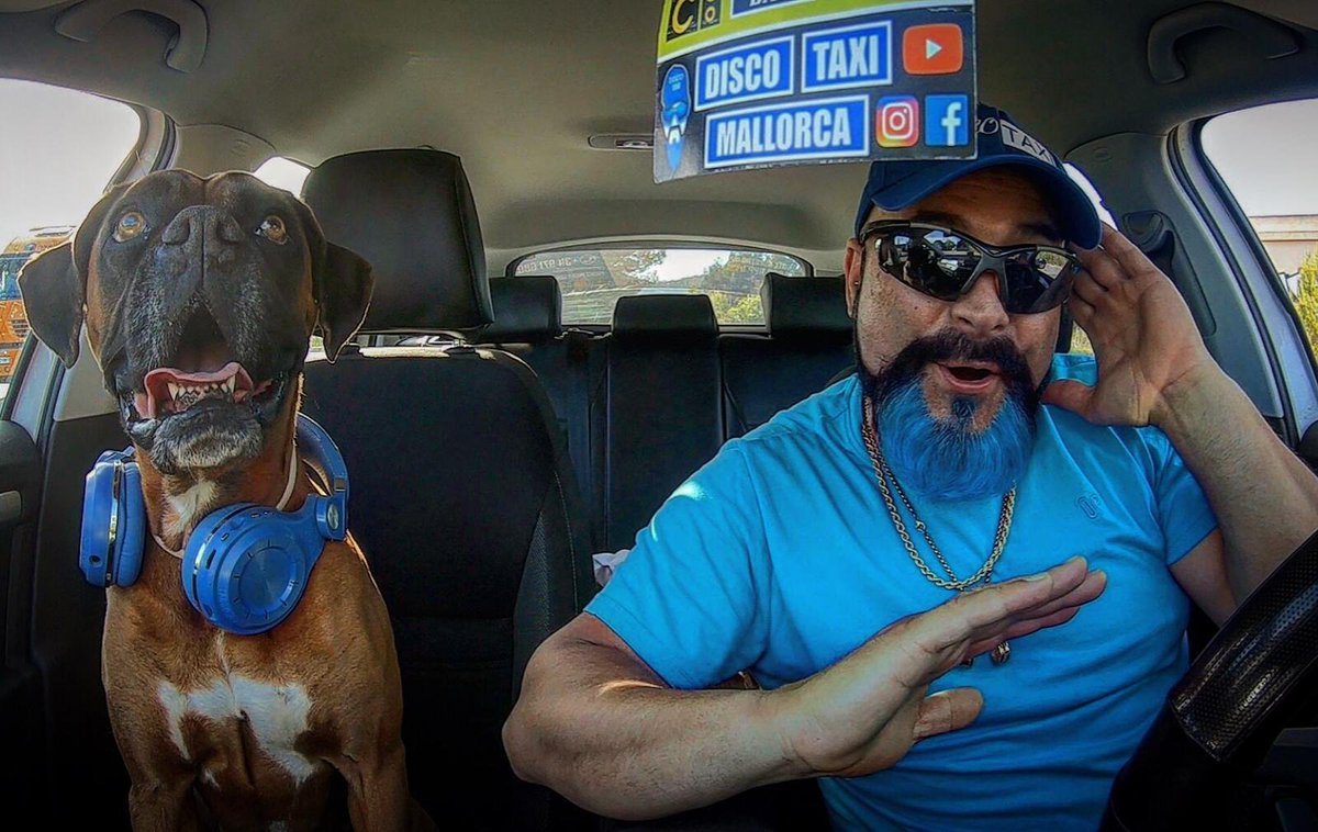 DiscoTaxiOne's tweet photo. Ari The Super Star with Disco Taxi!!! 🐶💙🧢🚖🎶 https://t.co/mKAkrHdV1g