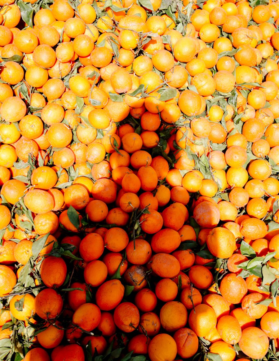 oxfordamerican's tweet photo. “Eventually admiration and imitation lead you down a wrong path. You’ll go looking for things that aren’t there anymore.”
—From “After Oranges,” an essay by @wyatt_williams on following John McPhee to Florida. Art by Alex Catt #Issue97
https://t.co/Gx9rvZU9P3 https://t.co/U3yQVJmR8N