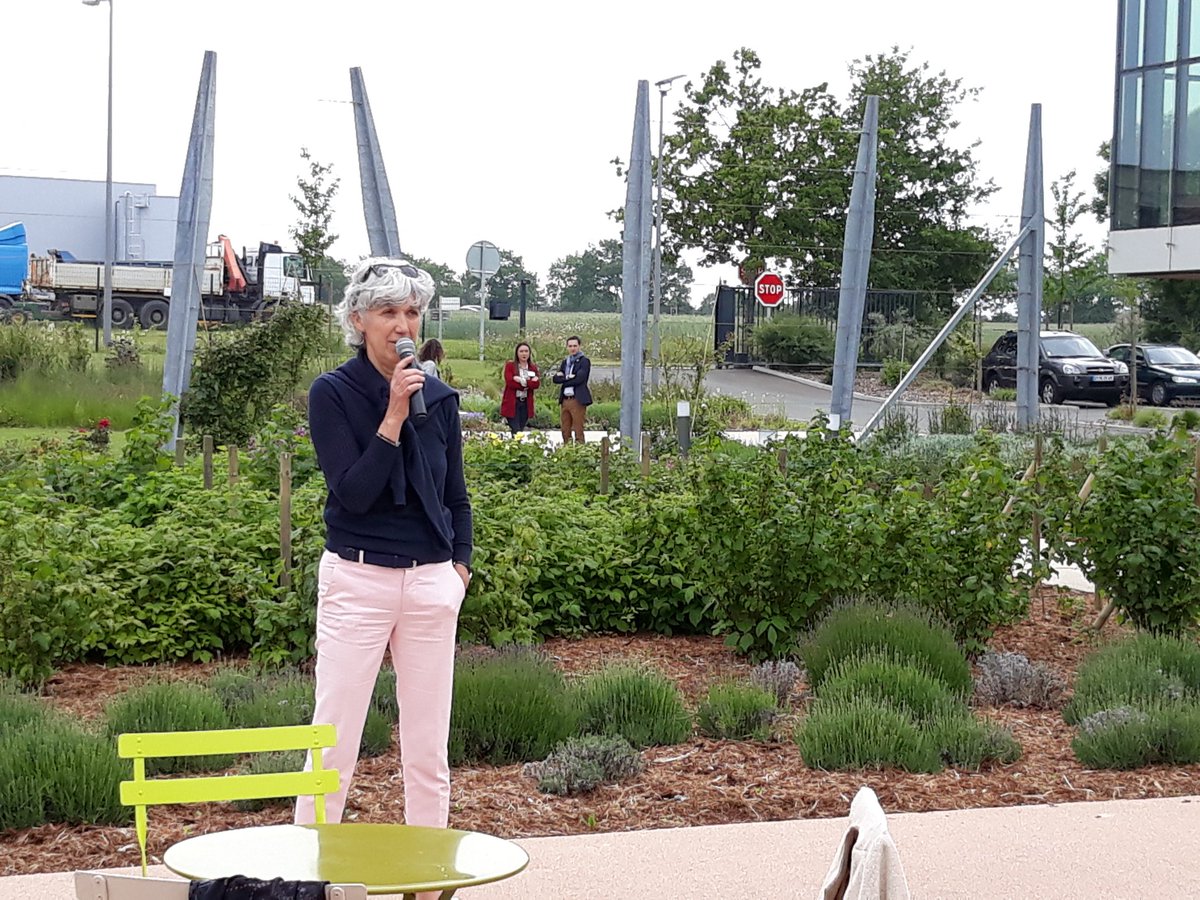 veromaillet's tweet photo. Lancement du #ChériCherry #bienvenueàAngers chez #Giffard #Guignolet #gin #tonic
#EdithGiffard #liqueurs #Sirops #plantes #fruits #griottes🍑🍒🍓🥒🍇
#AnjouDesSaveurs ❤ https://t.co/hPTTEp4zgx