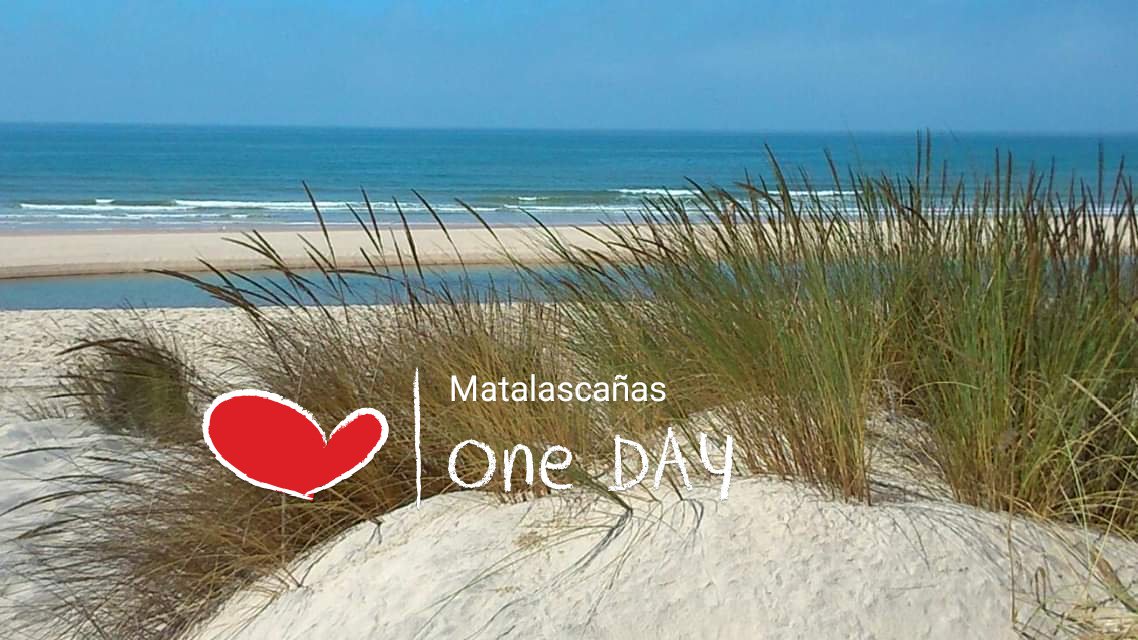 Con esta imagen de nuestra querida playa, os dejamos hasta mañana. Qué tengáis todos un feliz descanso😴😴