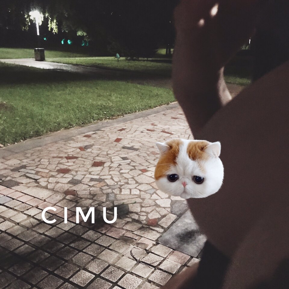 cncimu's tweet photo. 深夜游玩 https://t.co/BzuyRnyZrm